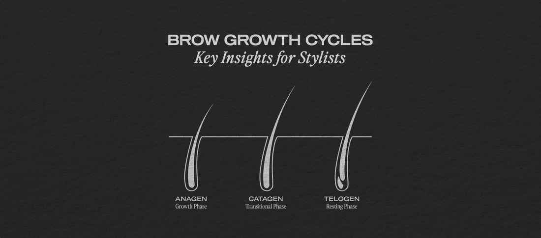 Understanding Brow Growth Cycles: Key Insights for Brow Stylists