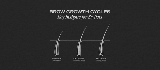 Understanding Brow Growth Cycles: Key Insights for Brow Stylists