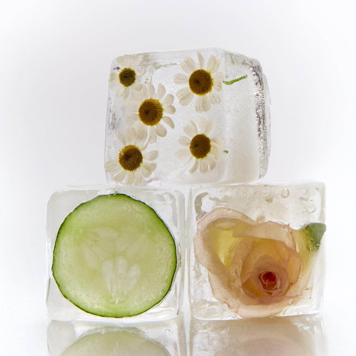 Ice cubes with frozen chamomile flowers, cucumber slice, and a rose bloom inside